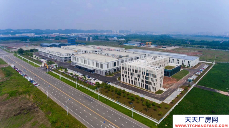 標準廠房I可分租I項目可免租