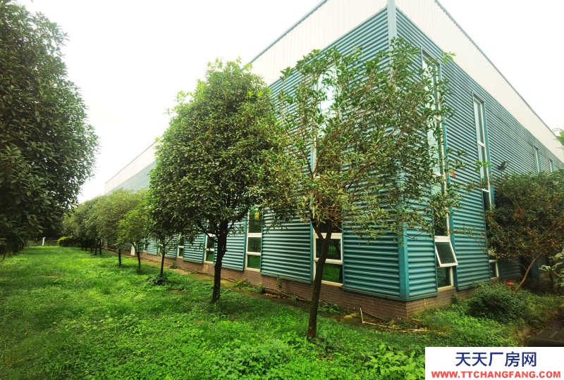 成都市新都區工業東區鋼結構廠房招租