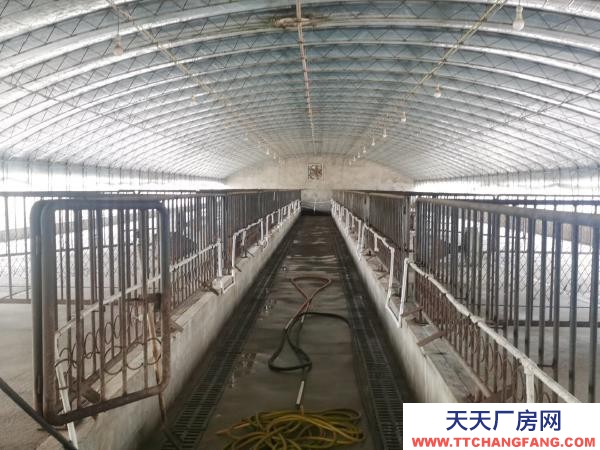 大洼自家庫房，交通便利，停車方便。