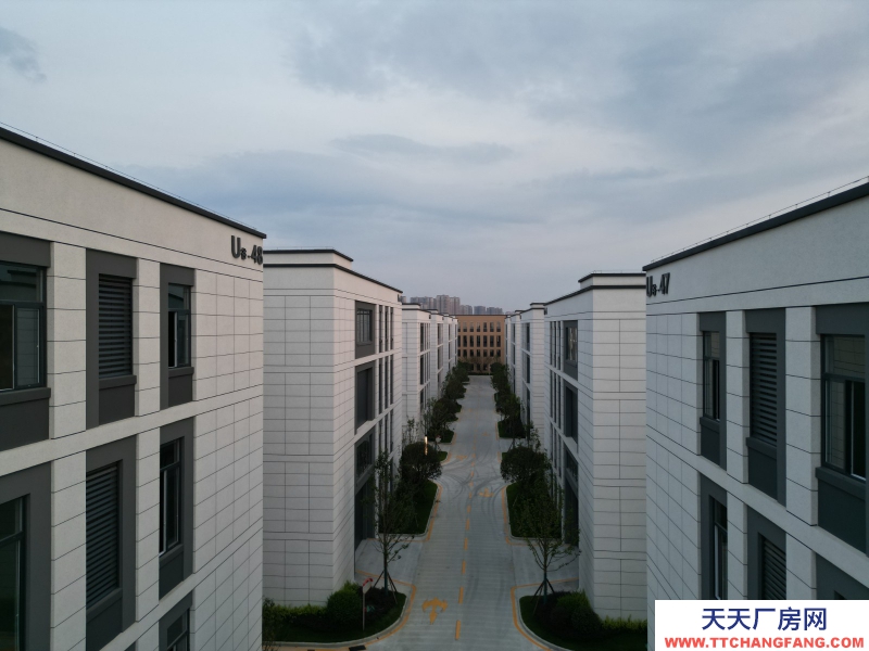 50年獨(dú)立分割產(chǎn)權(quán)標(biāo)準(zhǔn)化廠(chǎng)房租售