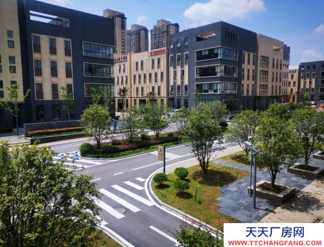 合肥富邦產業園-獨棟辦公樓-帶獨立產權