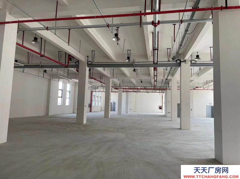 青白江智造產(chǎn)業(yè)園廠房出租1500-12000平米