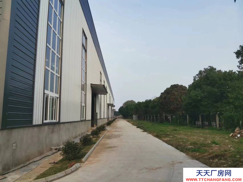 蒲江食品產業(yè)園鋼結構單層廠房2400平出租