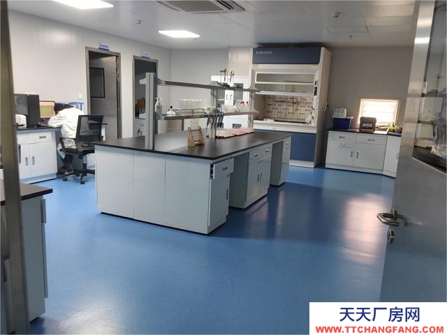 青白江2800平鋼結構廠房現房出租