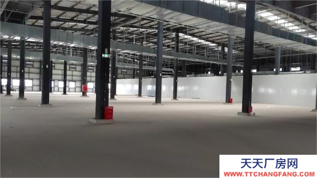 青白江2800平鋼結構廠房現房出租