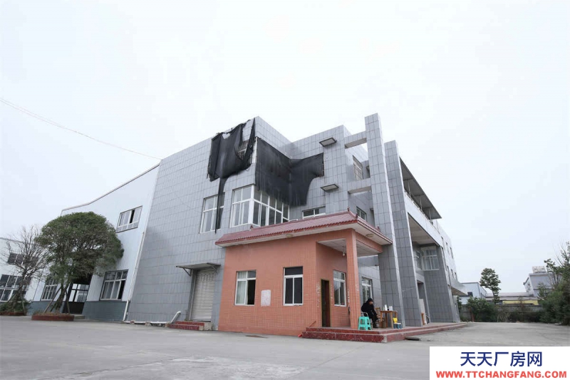 成都工業(yè)園區(qū)鋼結構標準廠房出租包裝廠房機械加工廠房設備制造廠房出租