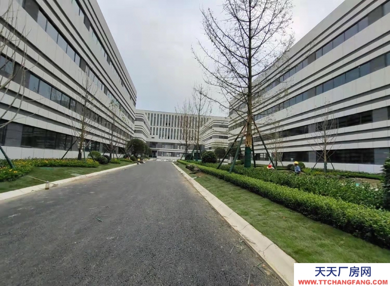 高新西區(qū)華為、京東方之間的 電子產(chǎn)業(yè)園區(qū)582—24000㎡品質(zhì)園區(qū)出租