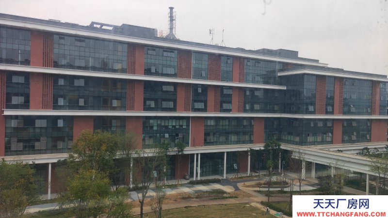 【園區直租】500-1000m2廠房、生產辦公、研發、新能源智能制造、檢驗檢測、;國有資產平臺,政策扶持,可享免租