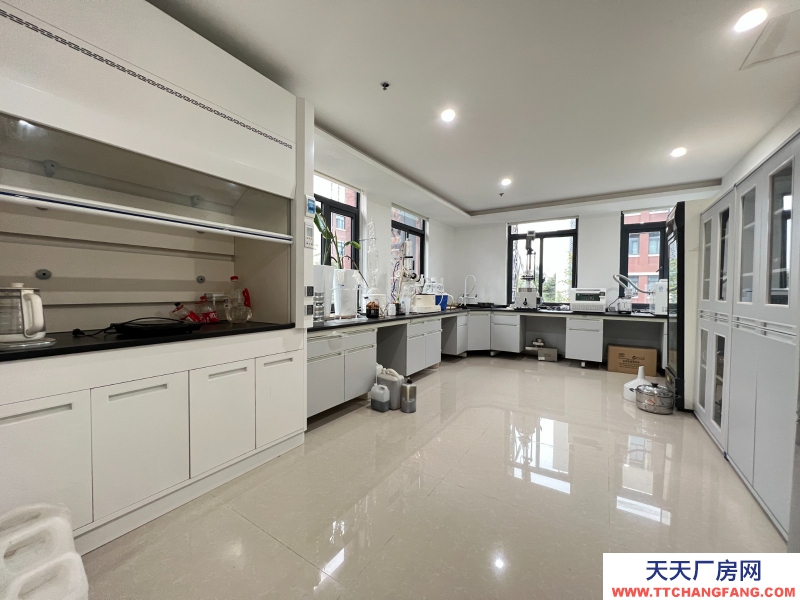 新年特惠特價!無中介費開發商直租,50年工業產權可以辦理全資質,精裝實驗室