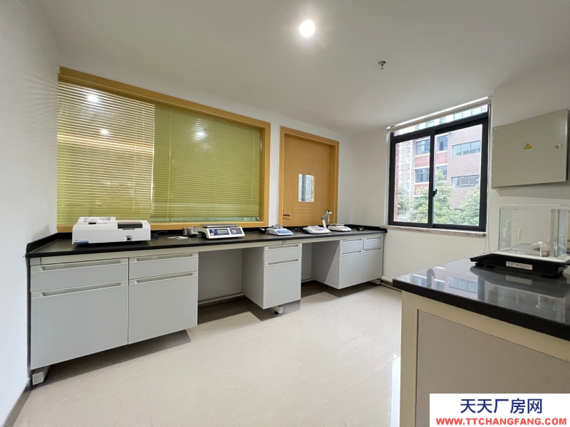 新年特惠特價!無中介費開發商直租,50年工業產權可以辦理全資質,精裝實驗室