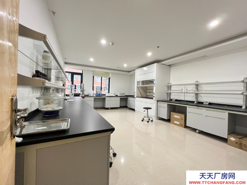 新年特惠特價!無中介費開發商直租,50年工業產權可以辦理全資質,精裝實驗室