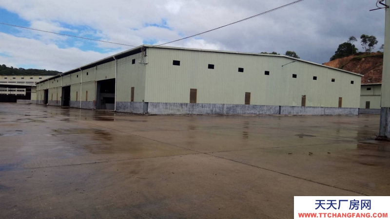 惠州市博羅縣園洲鎮４５０００平方單層獨院廠房出租