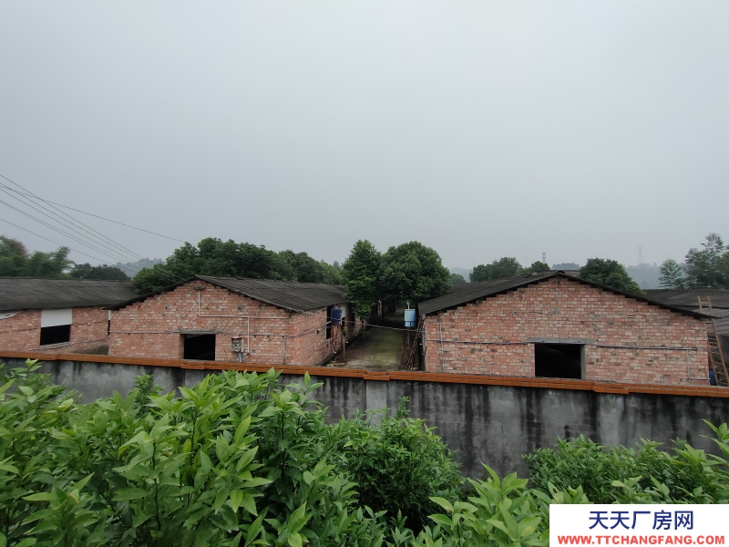 成都周邊5000平米廠房出租