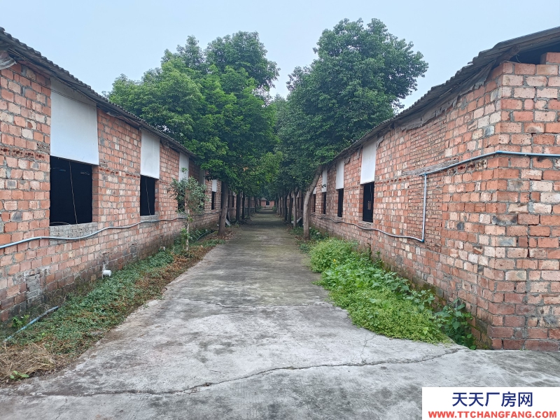 成都周邊5000平米廠房出租