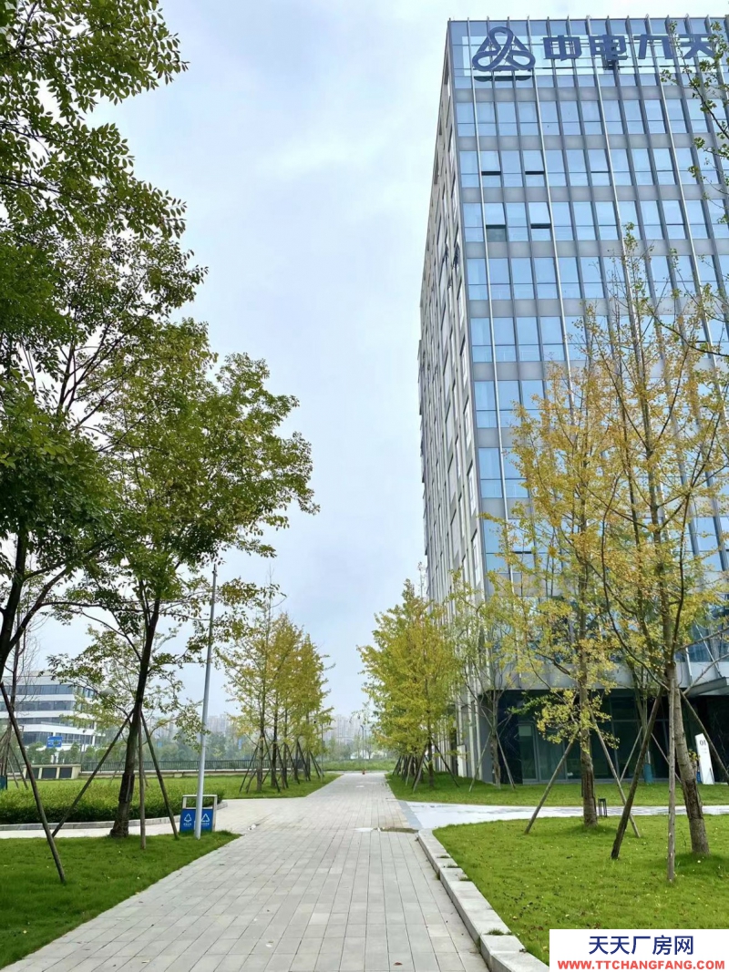 租售雙流新城科技產業園，獨棟平層，電子信息醫療入