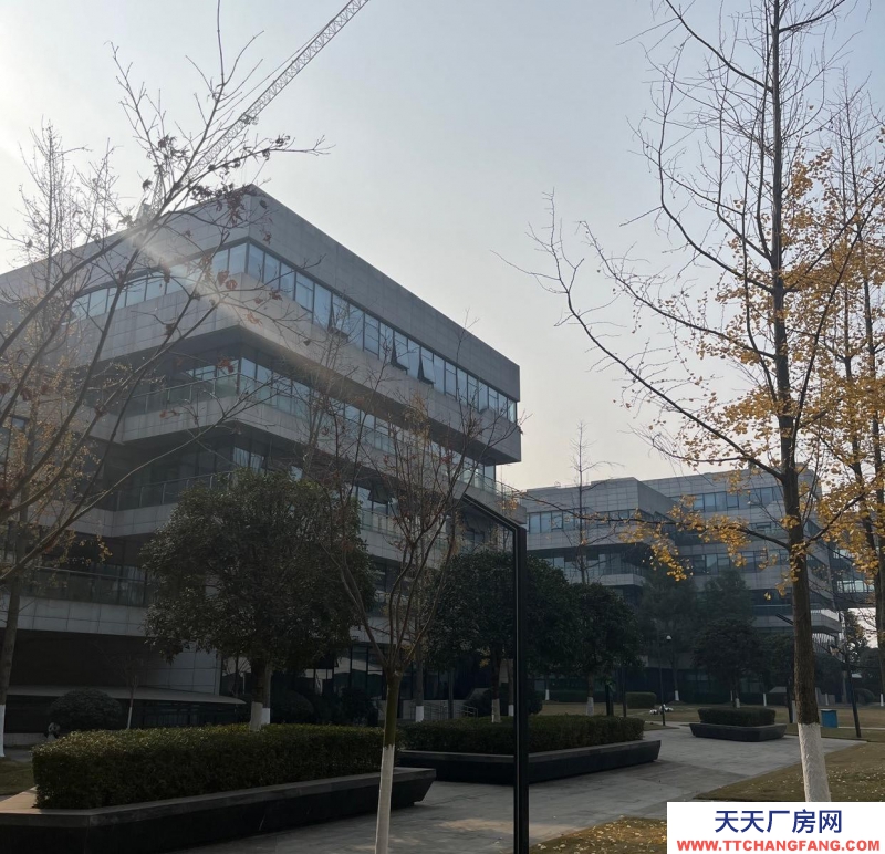 大數據產業園廠房出租,可供辦公、研發、生產使用。