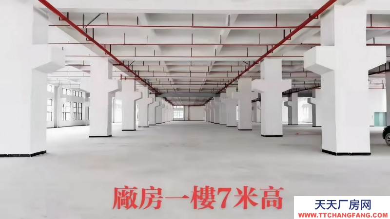 惠州博羅縣龍溪鎮(zhèn)１０００平方工廠辦公和廠房出售