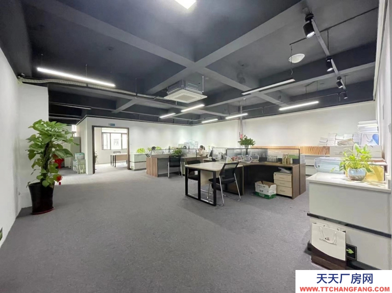 新年特惠特價！無中介費開發商直租，精裝修辦公，6隔間+30工位，可辦公實驗