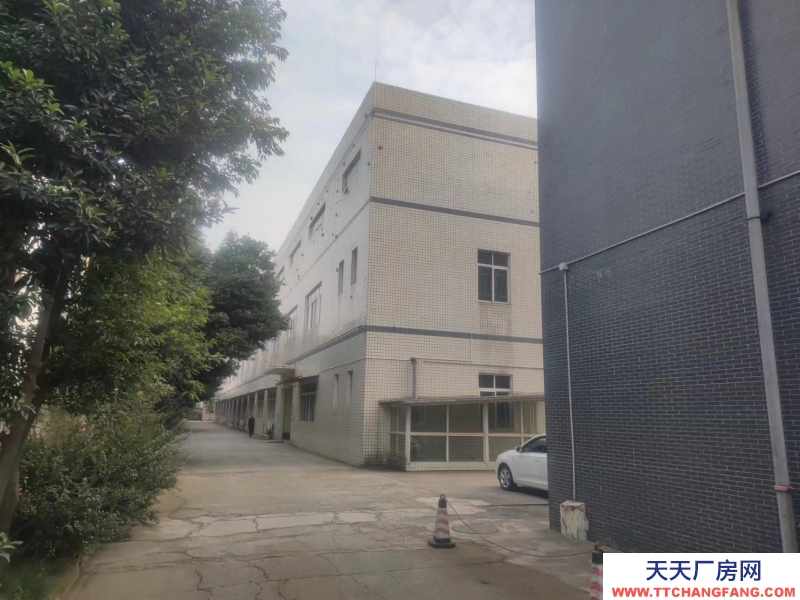 獨門獨院標準廠房底價出租，房東直租！