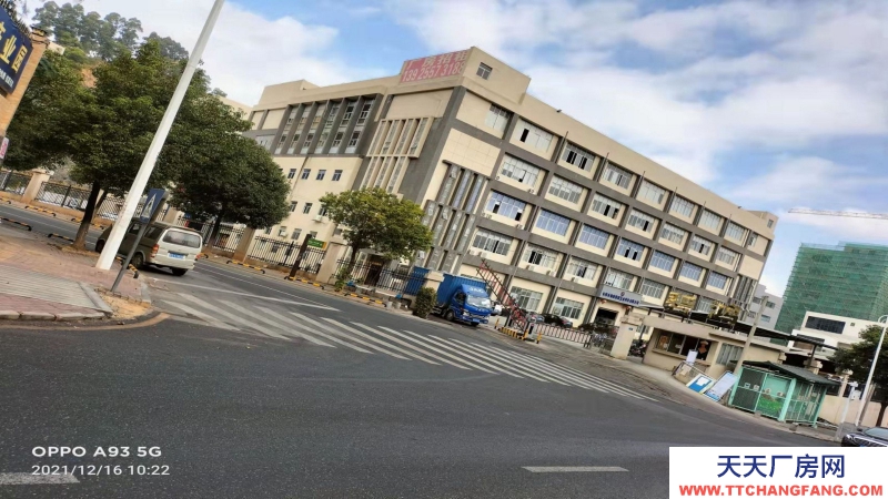 東莞市塘廈鎮１５００平方米紅本高層廠房分開出售