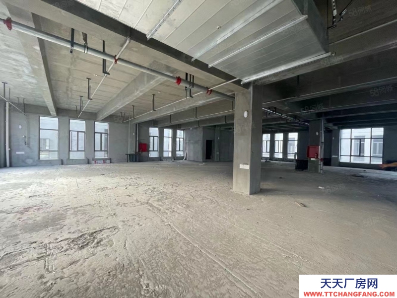 單層框架廠房 層高12.5米 50年產權 入園即可辦證