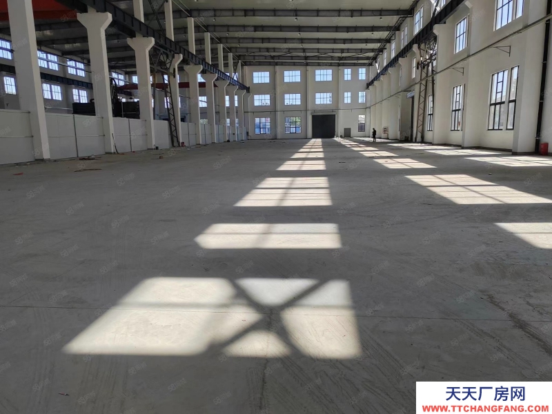 單層框架廠房 層高12.5米 50年產權 入園即可辦證