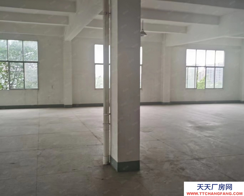 單層框架廠房 層高12.5米 50年產權 入園即可辦證