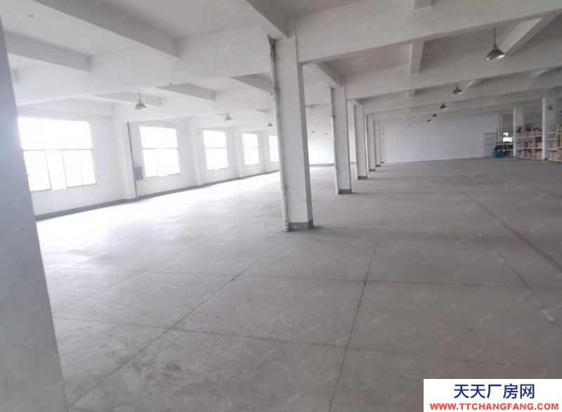 單層框架廠房 層高12.5米 50年產權 入園即可辦證