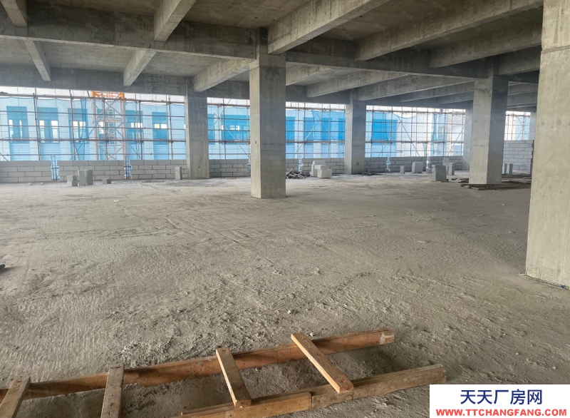 單層框架廠房 層高12.5米 獨(dú)立庭院 大車暢行 首付2成