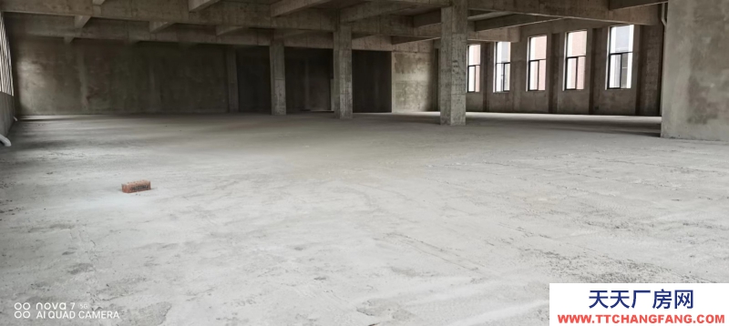 兩湖新區(qū) 框架結(jié)構(gòu) 單層火車頭 獨(dú)棟廠房出售?。?！