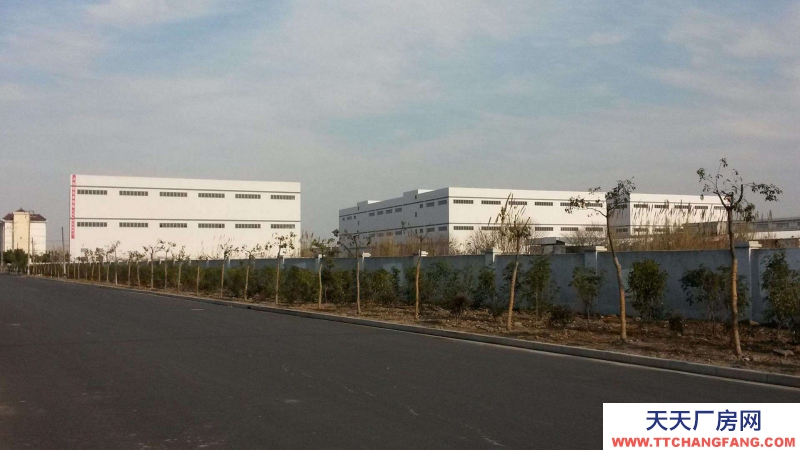 廣東省東莞市塘廈鎮３７０００平方標準倉庫出租