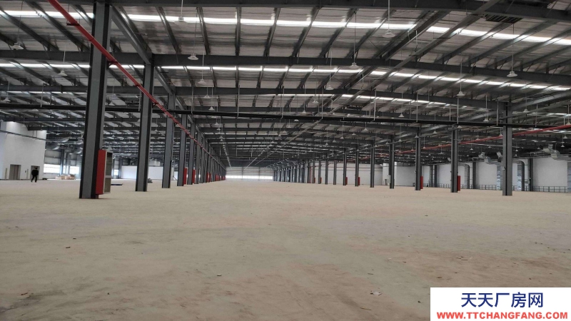 廣東省東莞市橋頭鎮３７５００平方物流倉庫出租