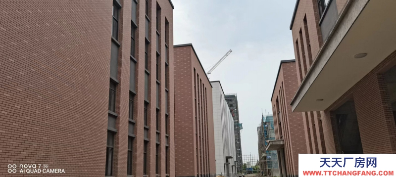 單層12米層高無基礎電費入園辦證廠房對外出售