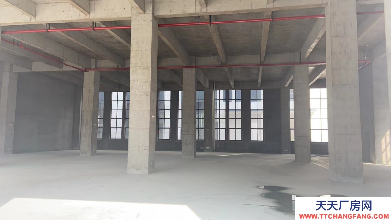 單層12米層高無基礎電費入園辦證廠房對外出售