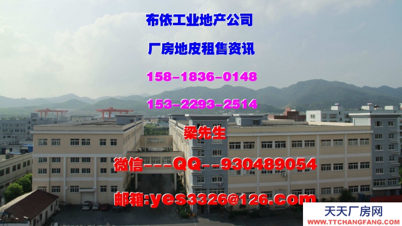 東莞鳳崗鎮(zhèn)４２０００平方五星干倉物流倉庫出租