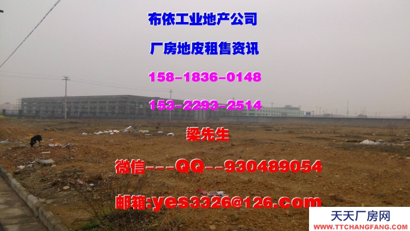 東莞鳳崗鎮(zhèn)４２０００平方五星干倉物流倉庫出租