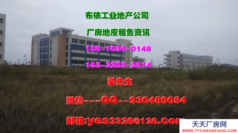 廣東省東莞市清溪鎮(zhèn)３４０００平方標(biāo)準(zhǔn)倉庫出租