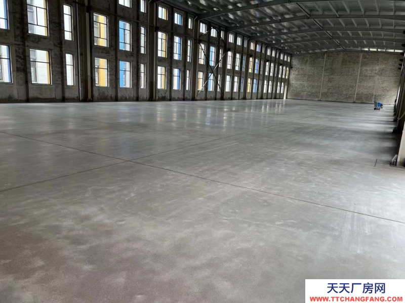 首付兩成起50年獨立產權單層廠房出售 入住辦證