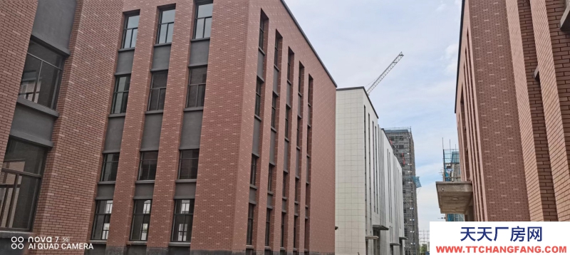 武進旁單層12.5米層高廠房出售 入住辦證 無強制稅收要求