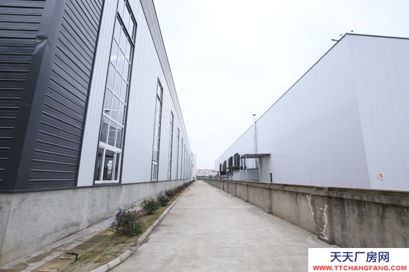 成都食品廠房出租,單層鋼結(jié)構(gòu),1700平,可分租,無稅收要求