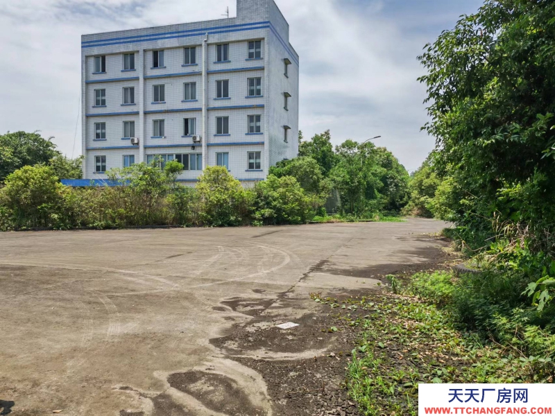 四川宜賓工業(yè)廠房出租，紅本齊全，價(jià)格便宜，交通方便！