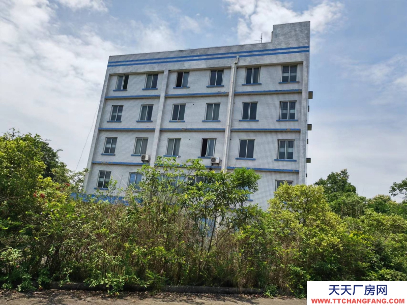 可分開出售宜賓標準工業廠房 ，工業工地，谷底價位！