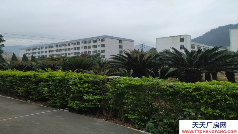 東莞市寮步鎮(zhèn)7000平米噴涂噴粉印刷廠房出租