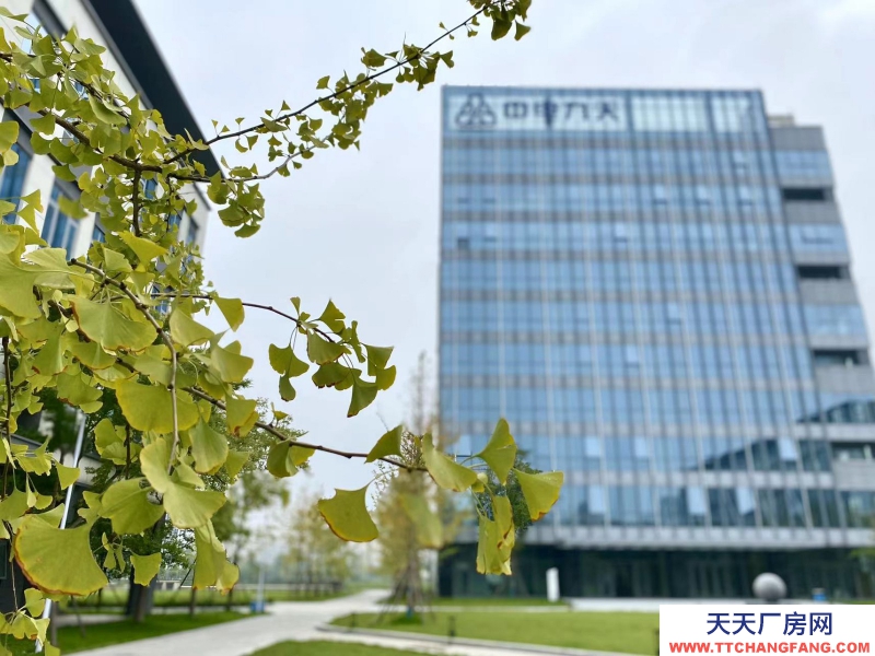 政府平臺科創空間，孵化總部，政策補貼，100起