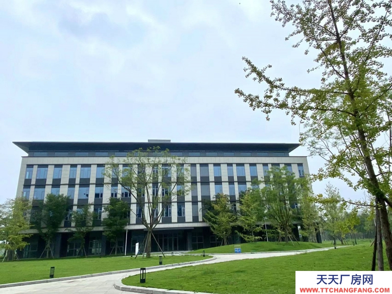 政府平臺科創空間，孵化總部，政策補貼，100起