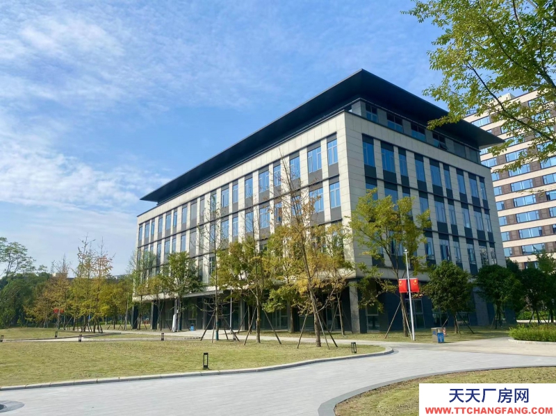 政府平臺科創空間，孵化總部，政策補貼，100起