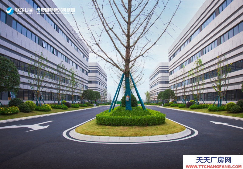 龍泉驛周邊工業園廠房 500平起租售  可貸款 鋼結構精裝修 出租