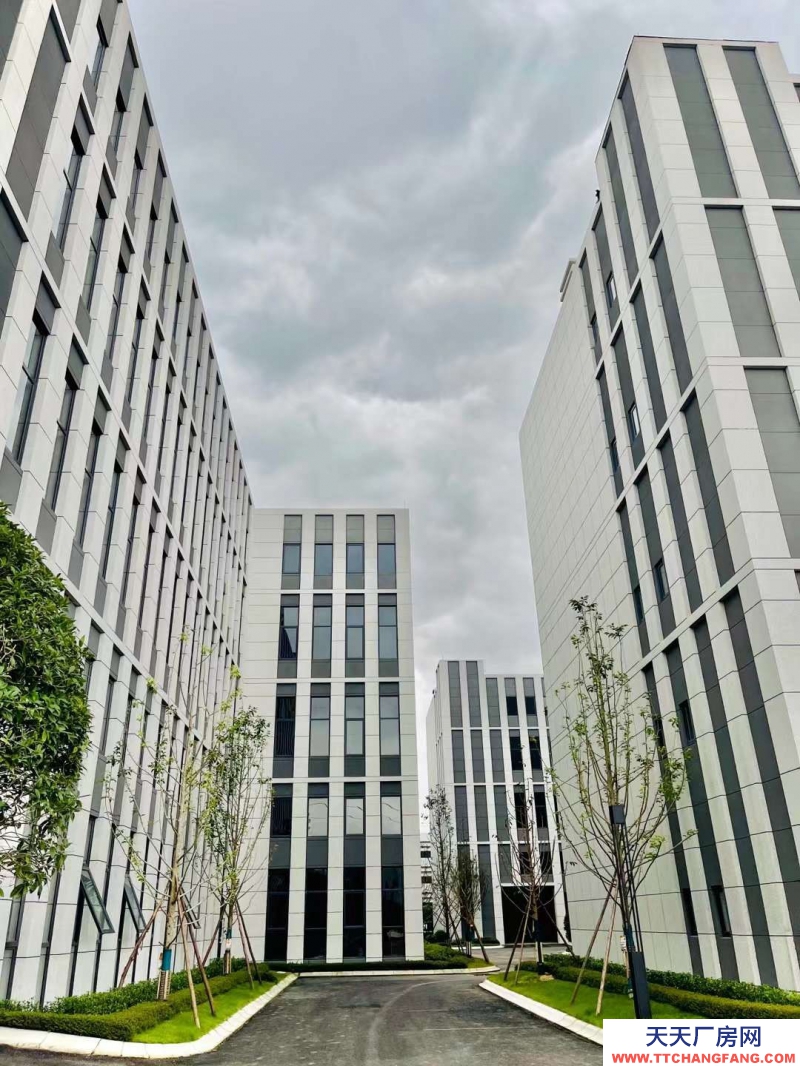 汽車城板塊，覆蓋中和新川