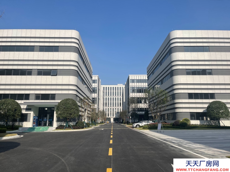 汽車城板塊，覆蓋中和新川