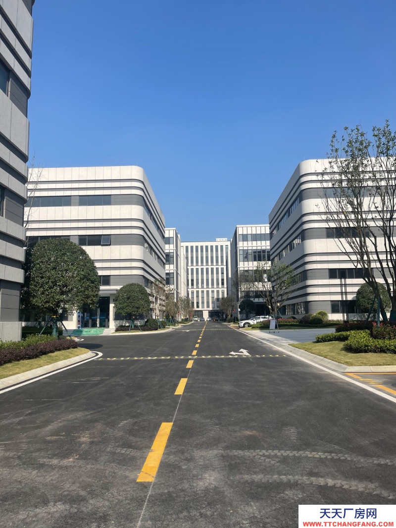 汽車城板塊，覆蓋中和新川